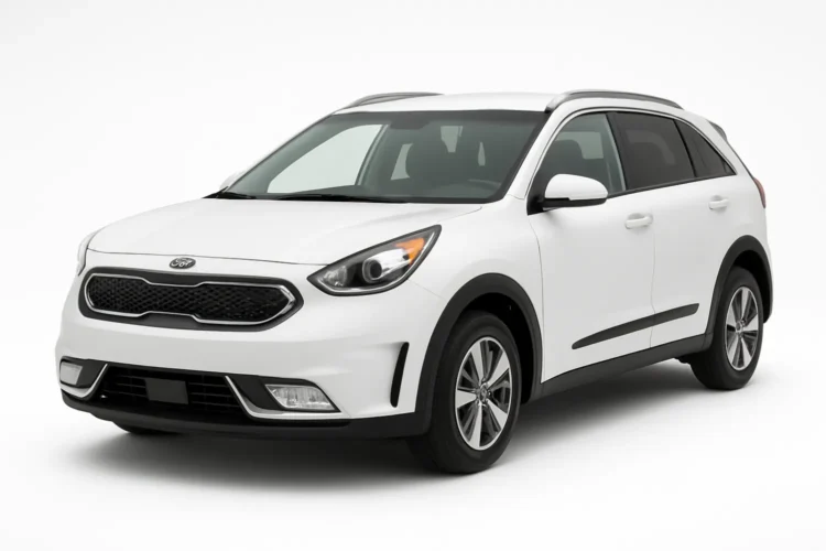 Kia Niro 2017–2019 Hybrid Battery
